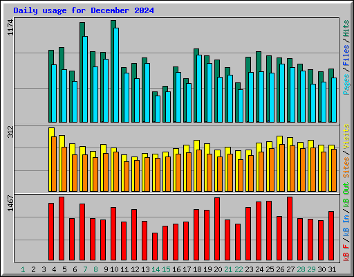 Daily usage for December 2024