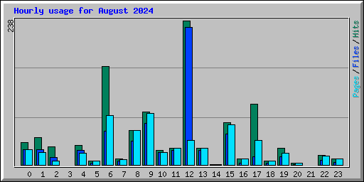 Hourly usage for August 2024
