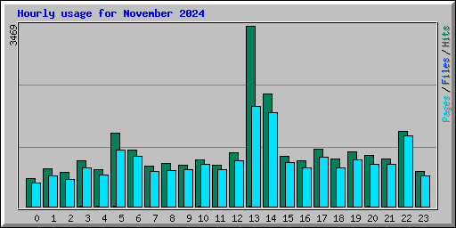 Hourly usage for November 2024