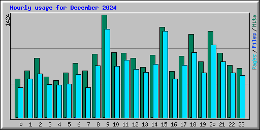 Hourly usage for December 2024