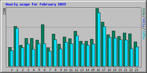 Hourly usage for February 2025