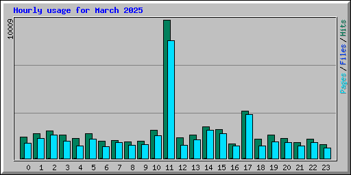 Hourly usage for March 2025