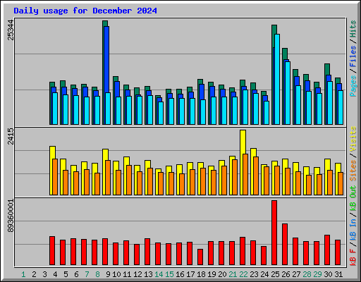 Daily usage for December 2024