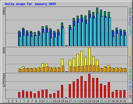 Daily usage for January 2025