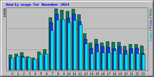 Hourly usage for November 2024