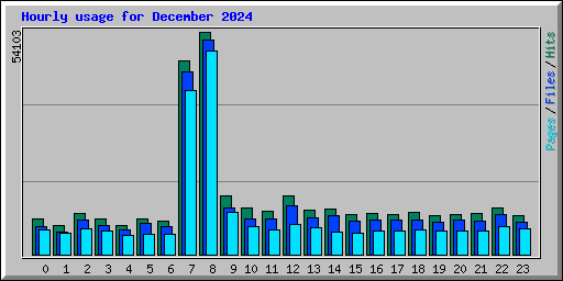 Hourly usage for December 2024