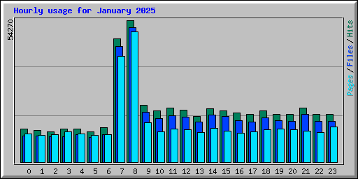 Hourly usage for January 2025