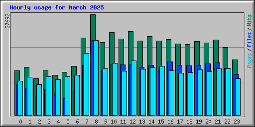 Hourly usage for March 2025