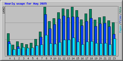 Hourly usage for May 2025