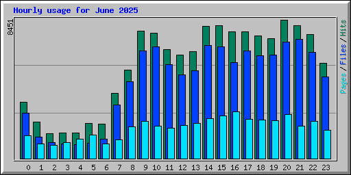 Hourly usage for June 2025