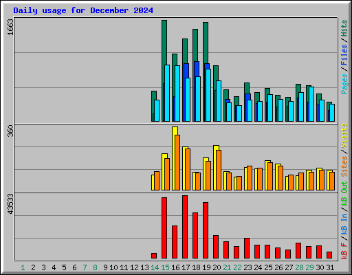 Daily usage for December 2024