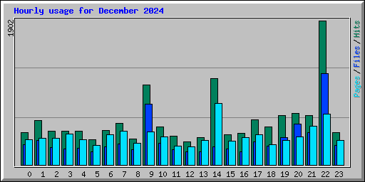 Hourly usage for December 2024