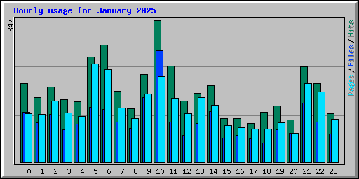 Hourly usage for January 2025
