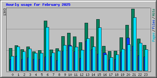 Hourly usage for February 2025