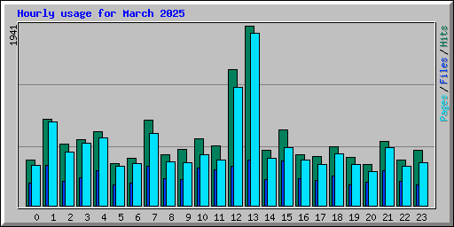 Hourly usage for March 2025