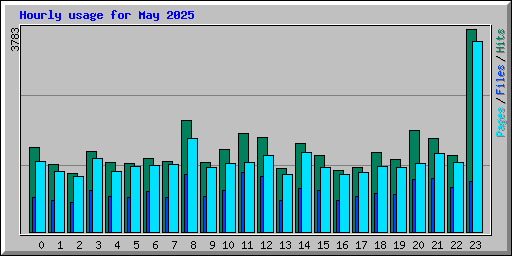 Hourly usage for May 2025