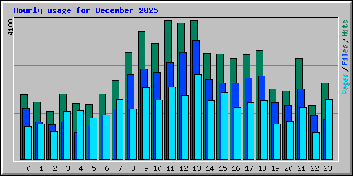 Hourly usage for December 2025