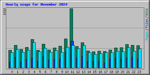 Hourly usage for November 2024