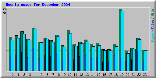 Hourly usage for December 2024