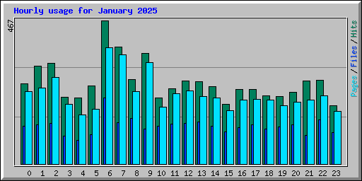 Hourly usage for January 2025