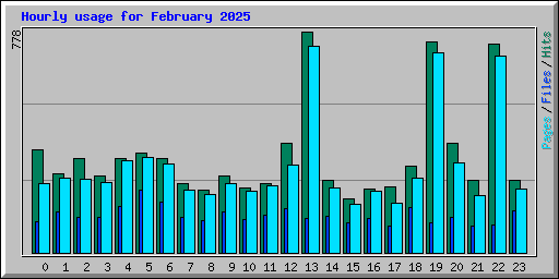 Hourly usage for February 2025