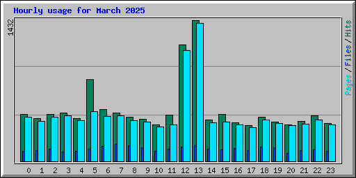 Hourly usage for March 2025
