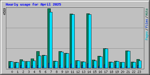 Hourly usage for April 2025
