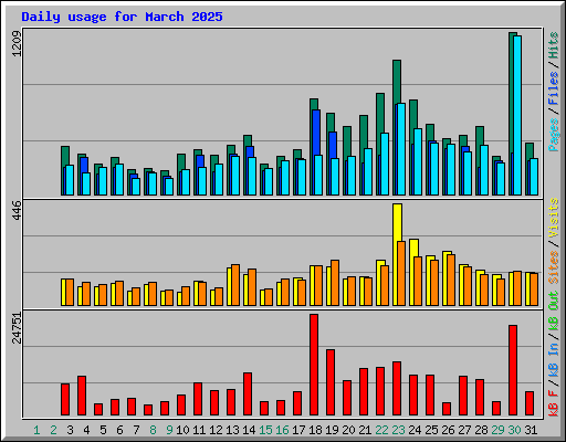 Daily usage for March 2025