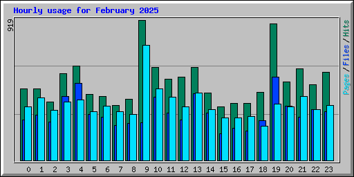 Hourly usage for February 2025