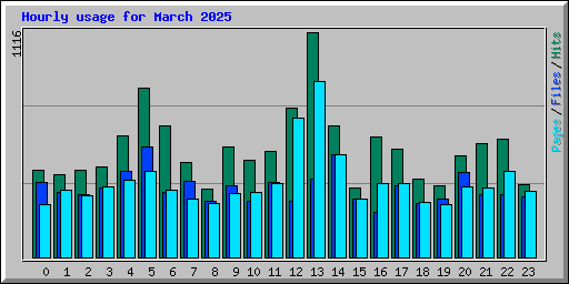 Hourly usage for March 2025