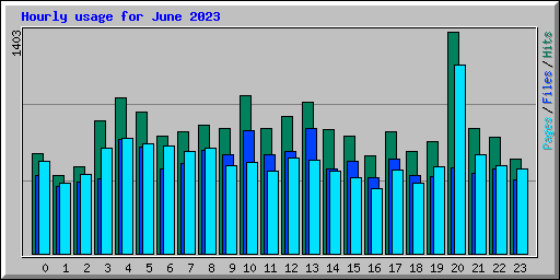 Hourly usage for June 2023