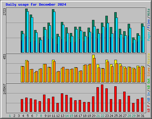 Daily usage for December 2024