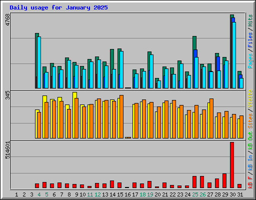 Daily usage for January 2025