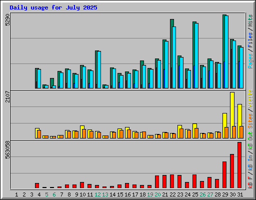 Daily usage for July 2025