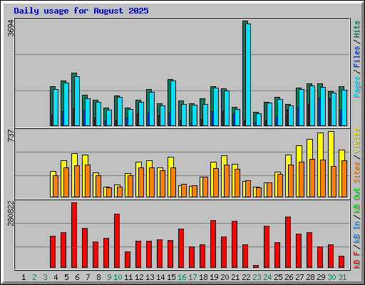 Daily usage for August 2025