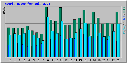 Hourly usage for July 2024