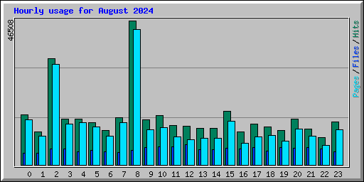 Hourly usage for August 2024