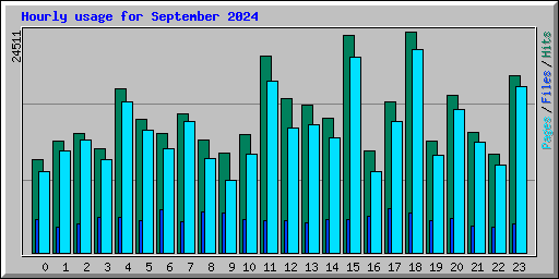 Hourly usage for September 2024