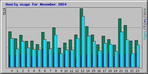Hourly usage for November 2024