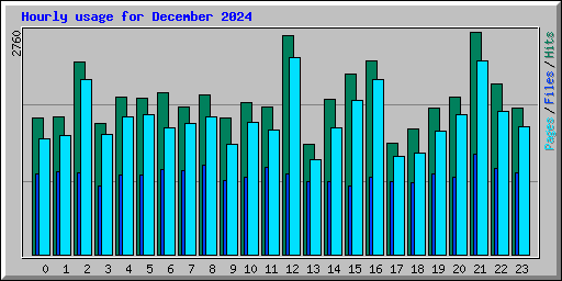 Hourly usage for December 2024