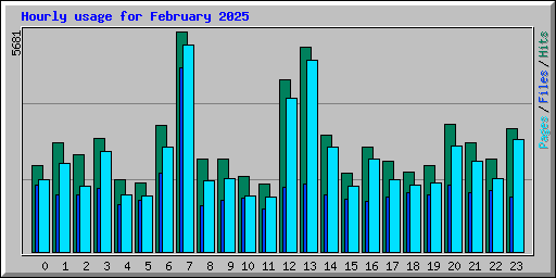 Hourly usage for February 2025