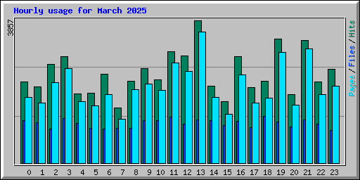 Hourly usage for March 2025