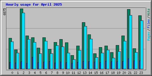 Hourly usage for April 2025
