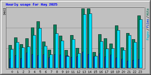 Hourly usage for May 2025