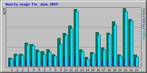Hourly usage for June 2025