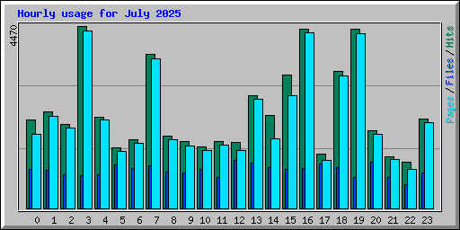 Hourly usage for July 2025