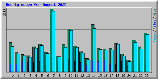 Hourly usage for August 2025