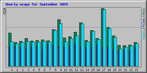 Hourly usage for September 2025