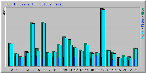 Hourly usage for October 2025