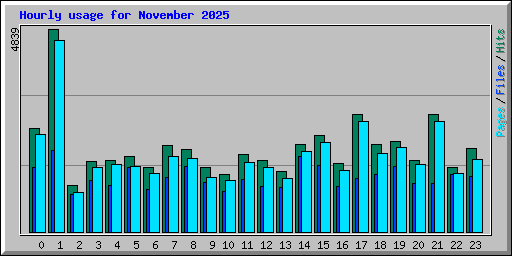 Hourly usage for November 2025